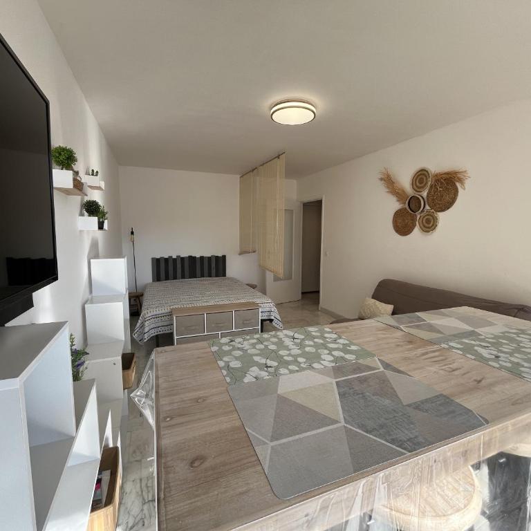 le GENEPY, studio 30m2, 4 p, balcon parking, clim - Standard Studio - 13