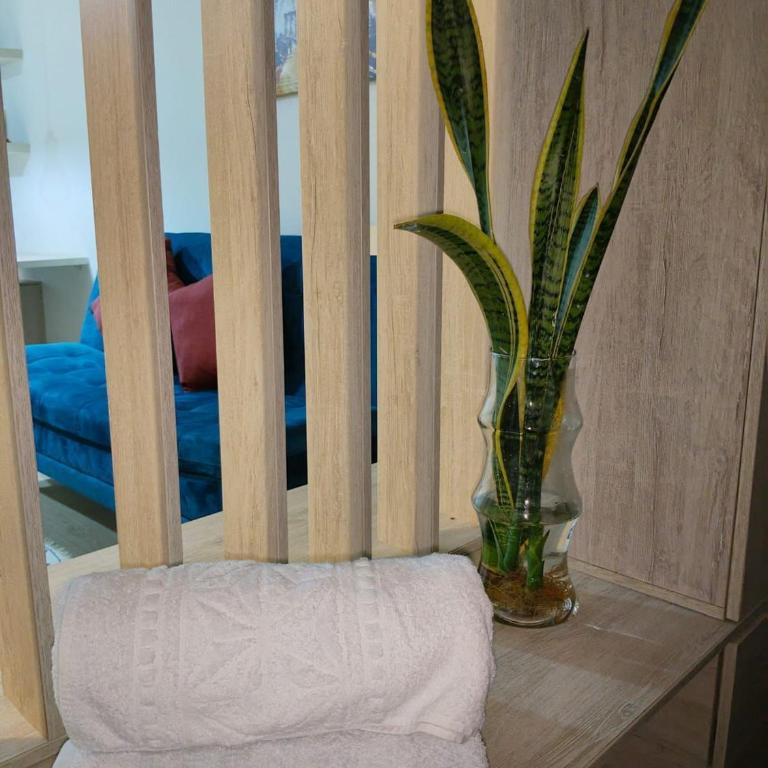 Suite Candelaria Las Aguas - One-Bedroom Apartment - 21