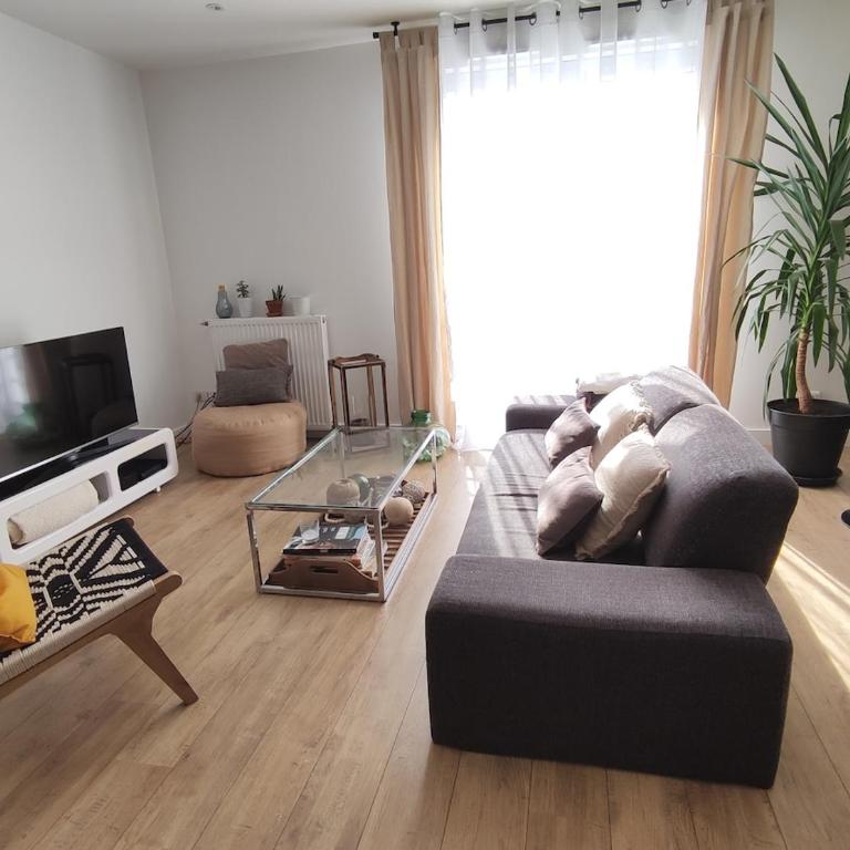 Angers appart 65m2 proche centre ville, parking - Appartement 2 Chambres - 3