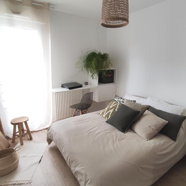 Angers appart 65m2 proche centre ville, parking - Appartement 2 Chambres - 12