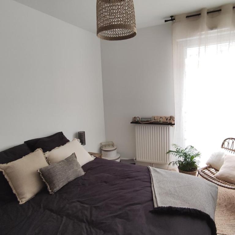 Angers appart 65m2 proche centre ville, parking - Appartement 2 Chambres - 13