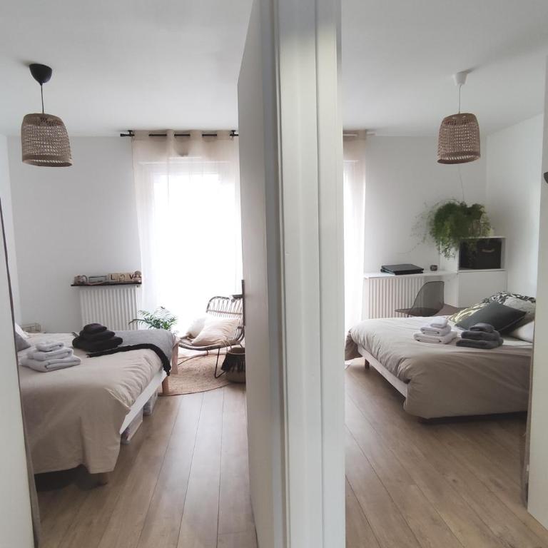 Angers appart 65m2 proche centre ville, parking - Appartement 2 Chambres - 18
