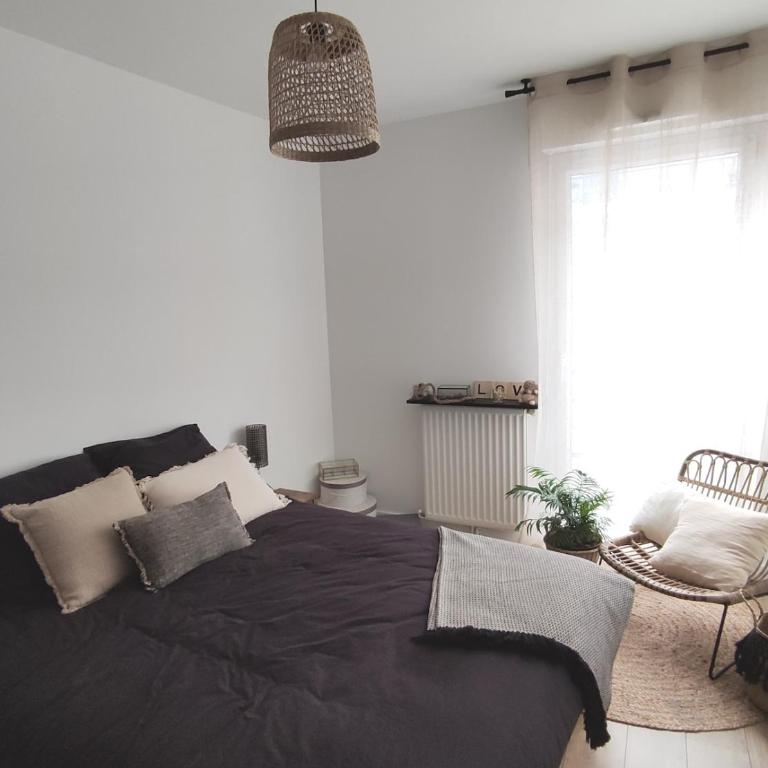 Angers appart 65m2 proche centre ville, parking - Appartement 2 Chambres - 20