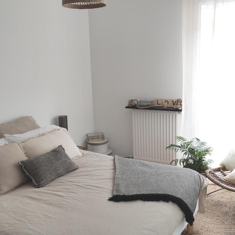 Angers appart 65m2 proche centre ville, parking - Appartement 2 Chambres - 24