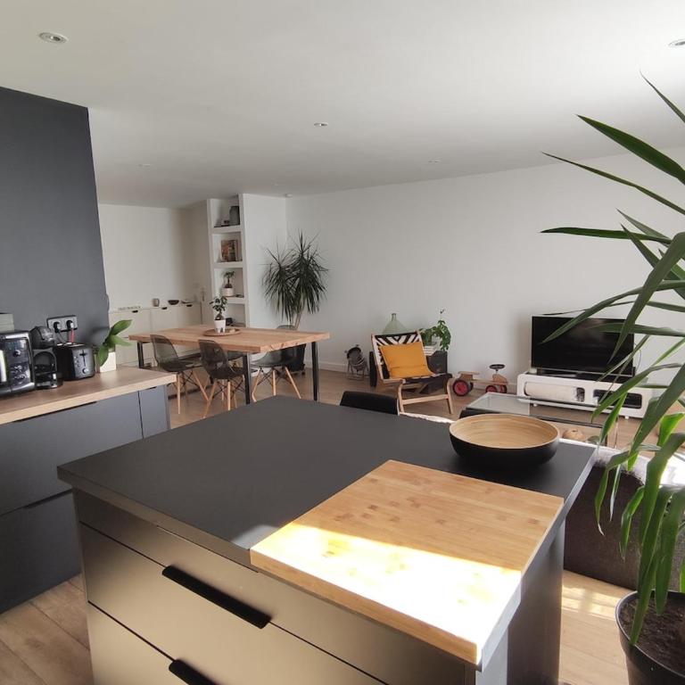 Angers appart 65m2 proche centre ville, parking - Appartement 2 Chambres - 39
