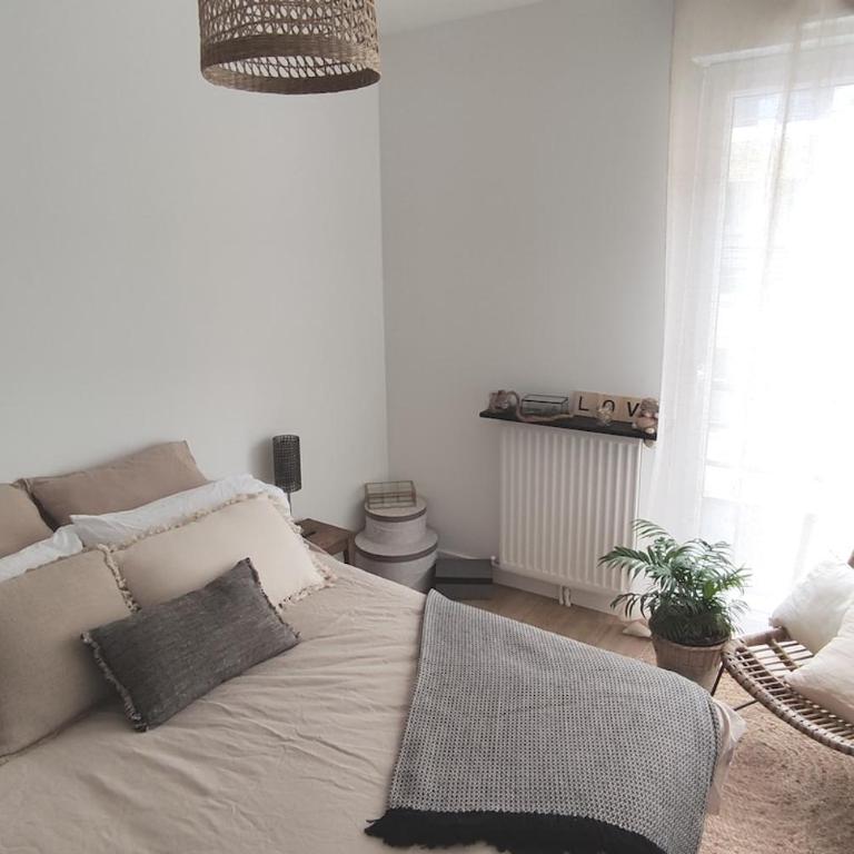 Angers appart 65m2 proche centre ville, parking - Appartement 2 Chambres - 40
