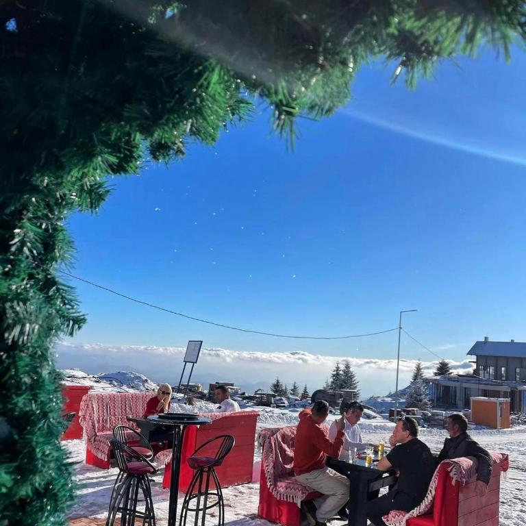 Mr Alek - Luxury Apartment Kopaonik - Deluxe Apartment - 31