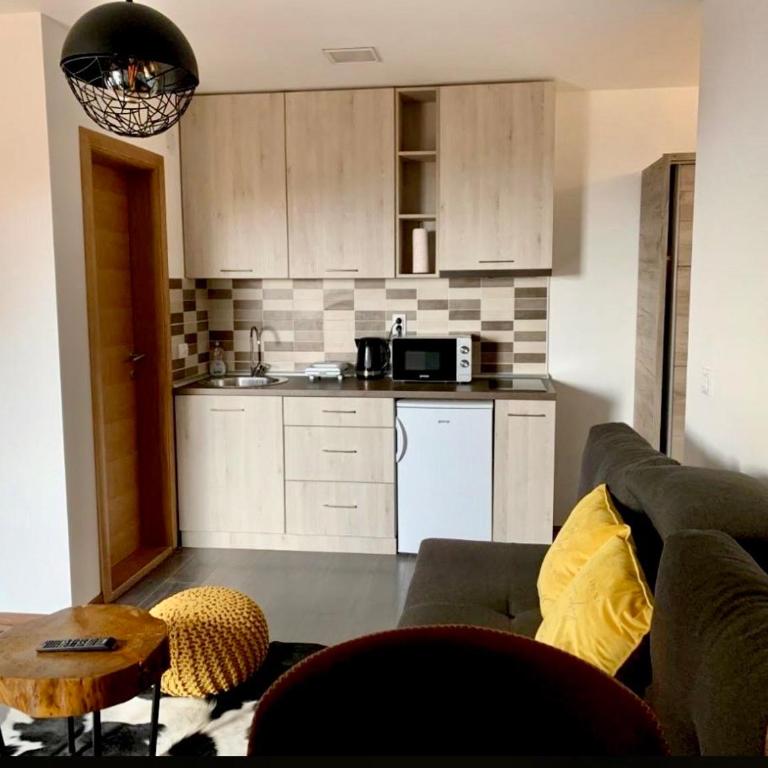 Mr Alek - Luxury Apartment Kopaonik - Deluxe Apartment - 5