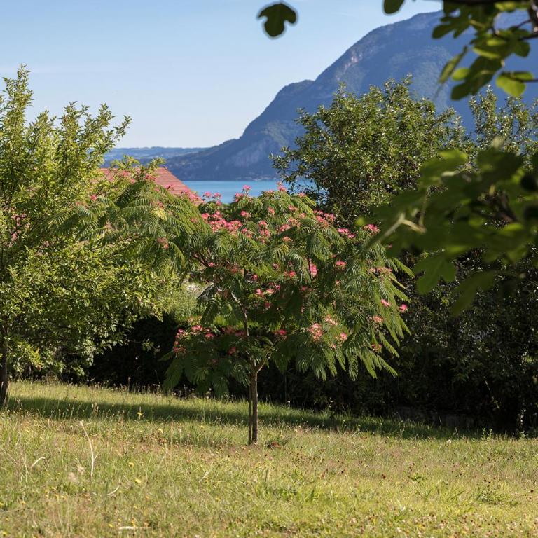 SEVRIER, maison vue panoramique sur le lac , 8 personnes - Haus mit 4 Schlafzimmern - 25