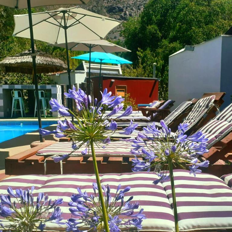 Organica Lodge Hotel Boutique - Deluxe Double or Twin Room - 3