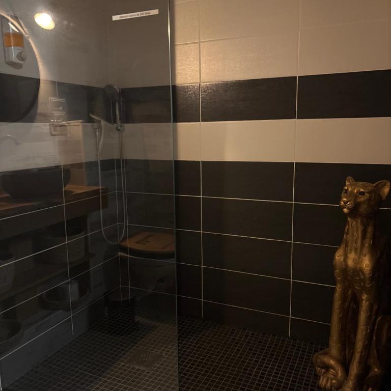 Romantisme et glamour 2 avec spa , clim et jardin - Appartamento con 1 Camera da Letto - 43