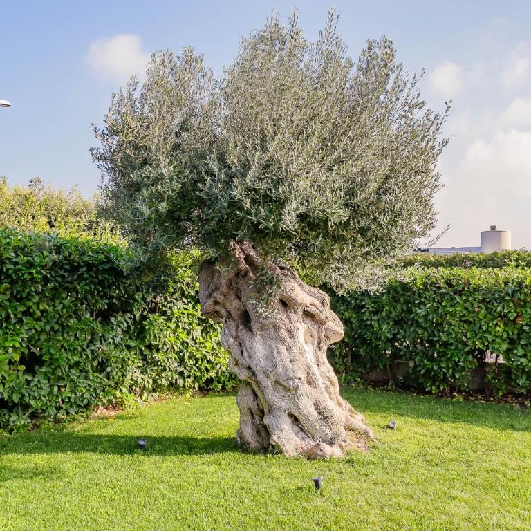 Villa Incanto nel Blu by Wonderful Italy - Villa con Piscina Privata - 46