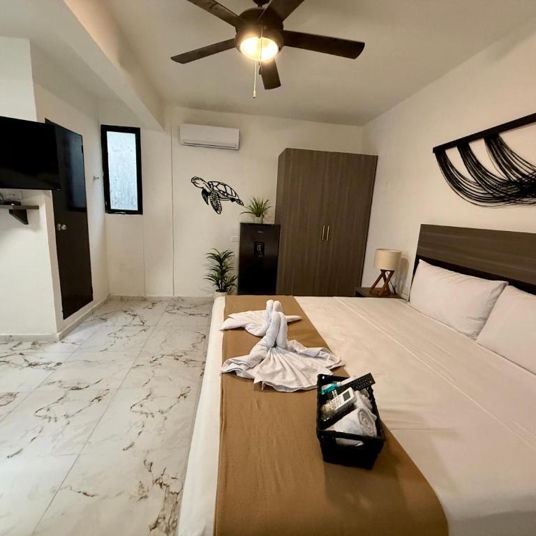 Coco Azul Hotel Boutique - Deluxe King Suite - 13