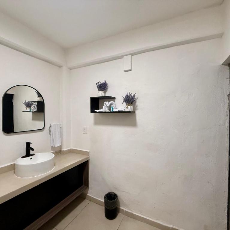 Coco Azul Hotel Boutique - King Studio - 19