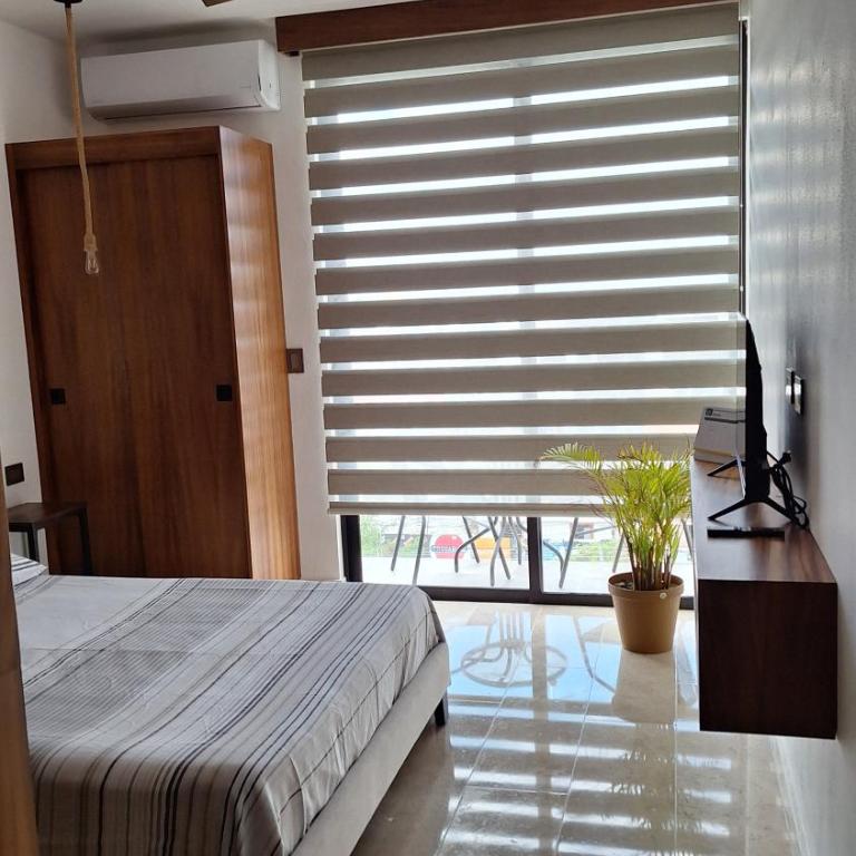 Playa del Carmen - Playaquerida - Superior Queen Room - 58