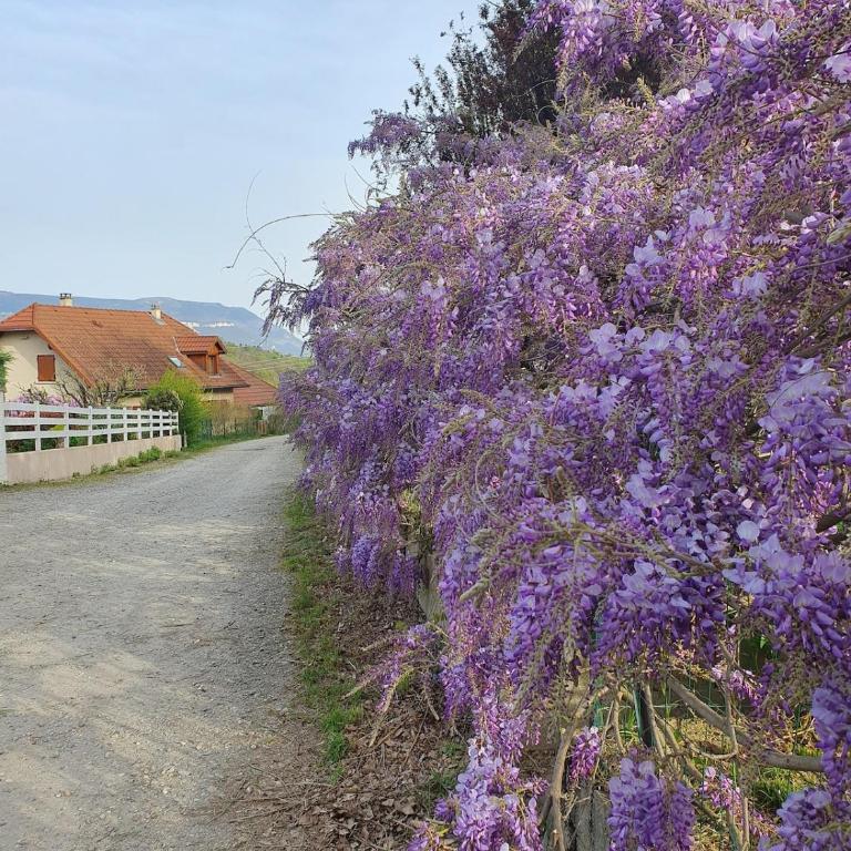 L'Aparté Nature, entre campagne et montagne - Appartement 2 Chambres - 38