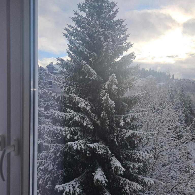 Pogled Contra - Apartman sa 1 Spavaćom Sobom - 12
