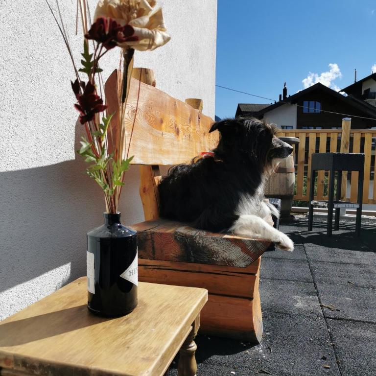 Ferienhaus Allalin - Ferienhaus - 29
