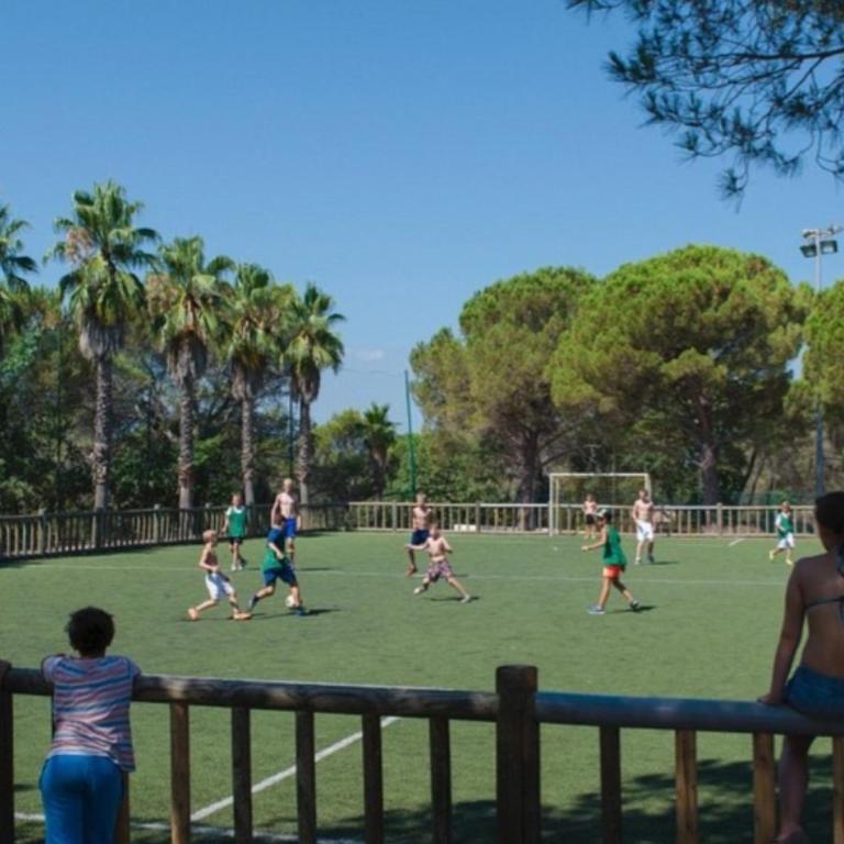 La Baume La Palmeraie Camping Resort - Mobile Home - 37