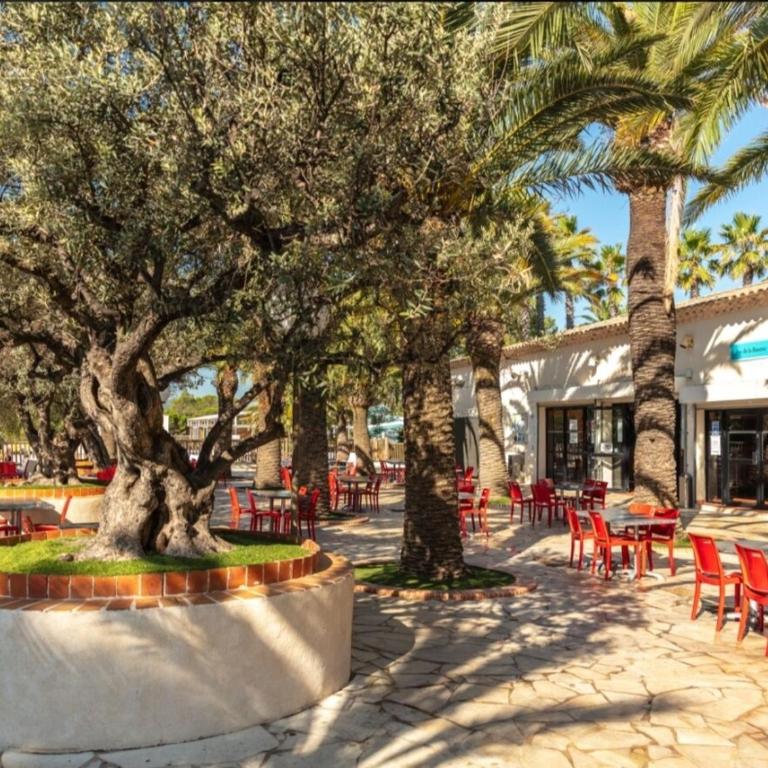 La Baume La Palmeraie Camping Resort - Mobile Home - 30