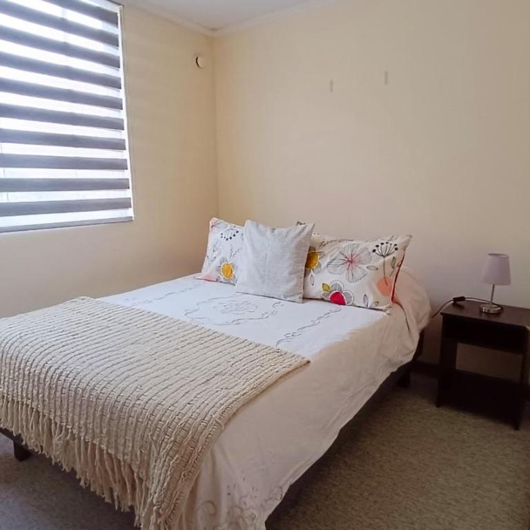Departamento Cerca del Faro - Apartamento de 3 dormitorios - 3