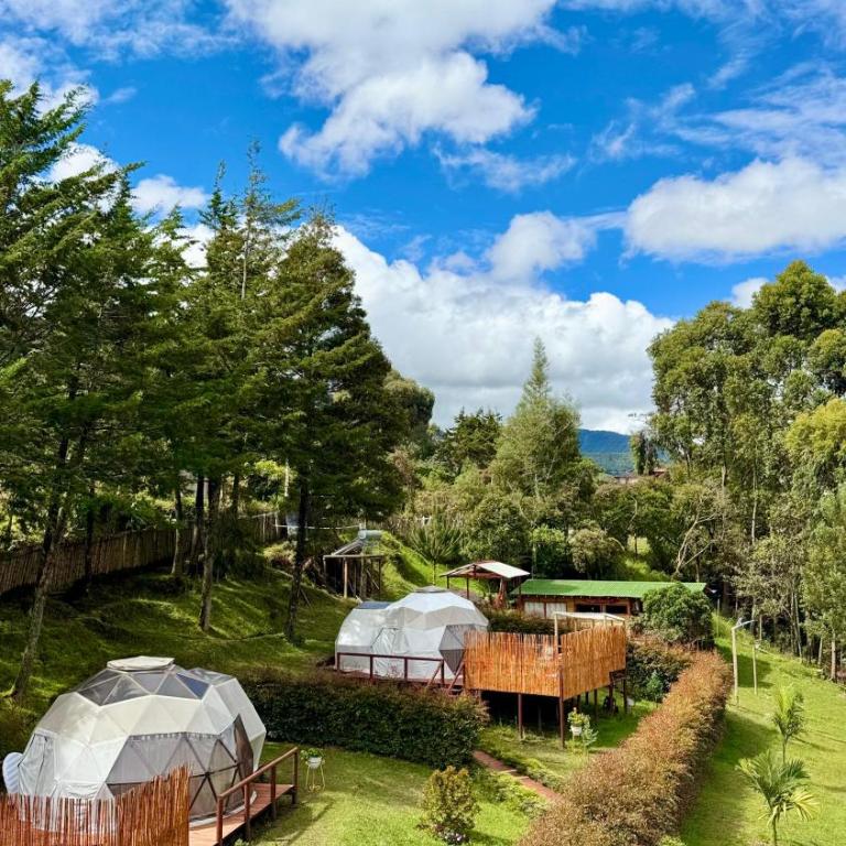 Boreal Refugio Natural - Tienda - 17