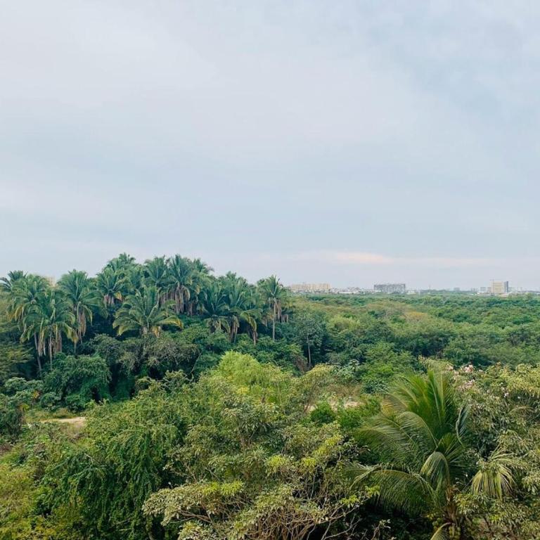 Vive Vallarta deparmento - Apartamento de 2 dormitorios - 8