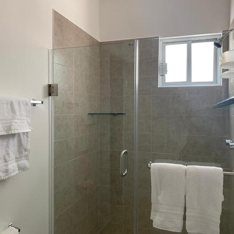 Vive Vallarta deparmento - Apartamento de 2 dormitorios - 25