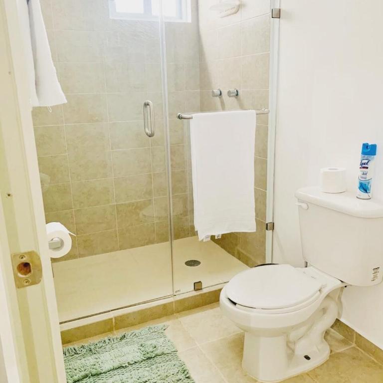 Vive Vallarta deparmento - Apartamento de 2 dormitorios - 29