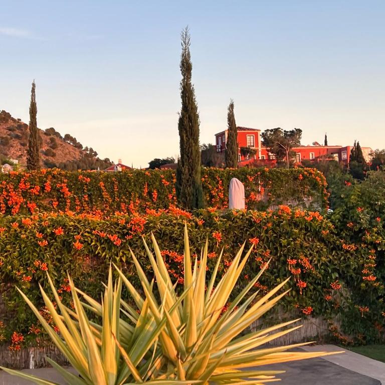 This One is For You - seaview, sunset and joy - Casa de 3 dormitorios - 37