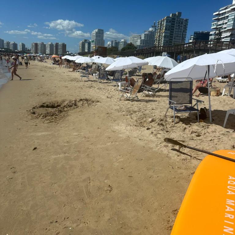 Enfrente al mar y a pasos de Gorlero Servicio limpieza Sábanas y toallas Estacionamiento Gimnasio Recepción 24 hs - Apartamento de 1 dormitorio - 21
