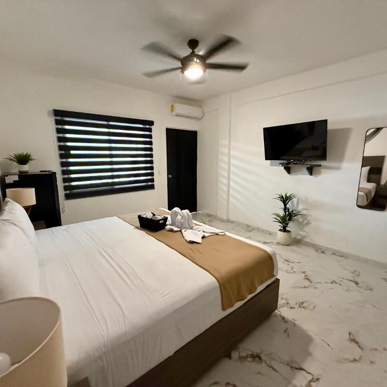Coco Azul Hotel Boutique - King Studio - 7