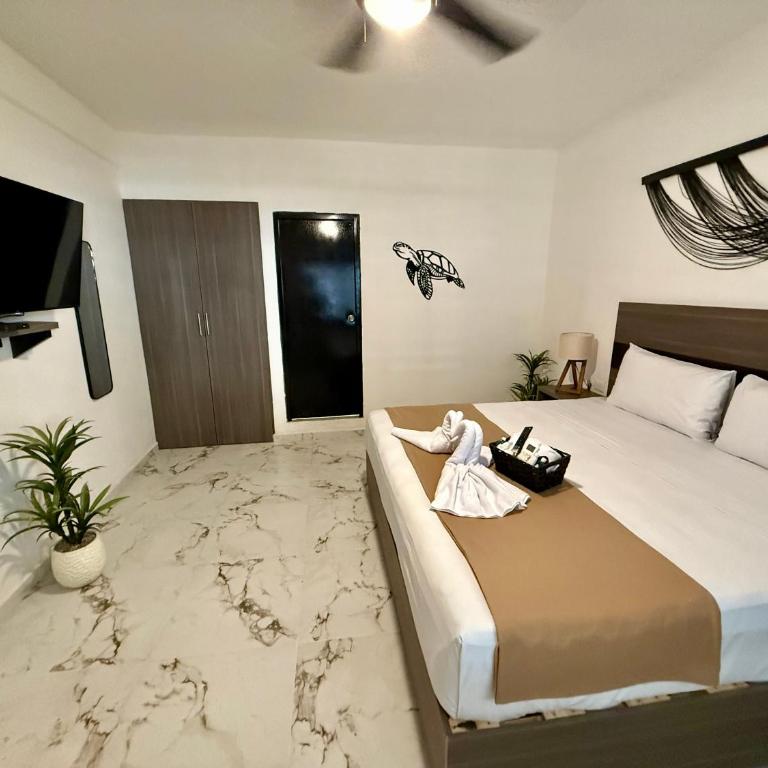 Coco Azul Hotel Boutique - King Studio - 6