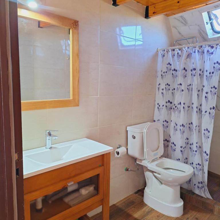 Domo Kumelén Mahuida - Chalet de 1 dormitorio - 6