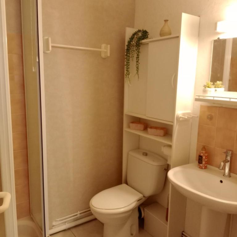 Studio remblai, port, commerces - Apartment mit 1 Schlafzimmer - 6