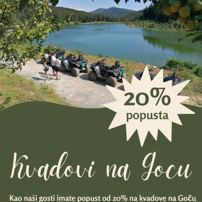 Vision apartmani Vrnjačka Banja - Apartman sa Terasom - 11