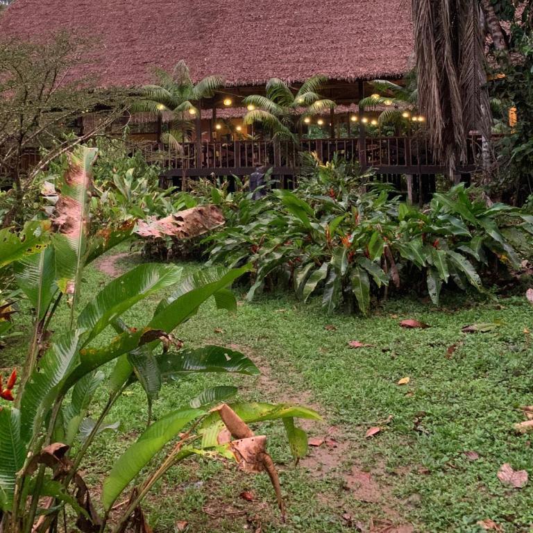 Tambopata Research Center - Habitación Doble Estándar - 2 camas - 1