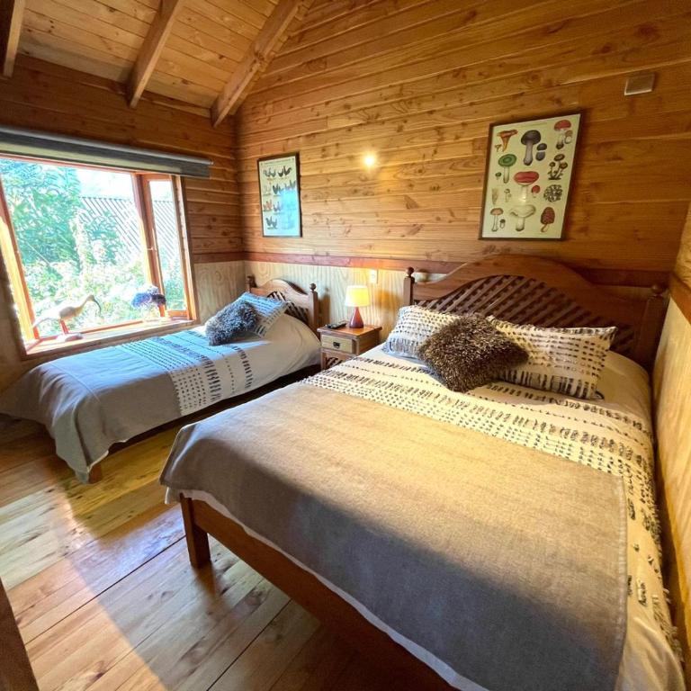 Hostal Pucon Sur - Habitación Individual Pequeña - 3