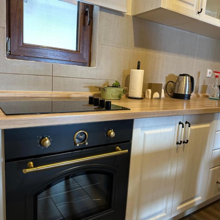 Vila Gorska - Two-Bedroom Apartment - 11