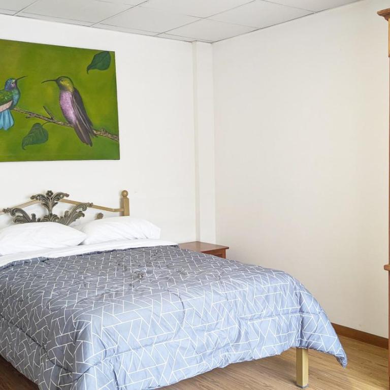 Natural Light and Total Comfort - Two-Bedroom Apartment - 6