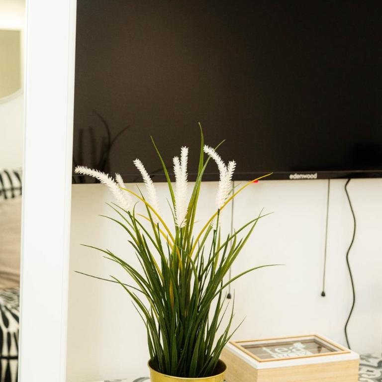 Studio Stade de France 26 pour 2 personnes - Apartamento de 1 dormitorio - 8