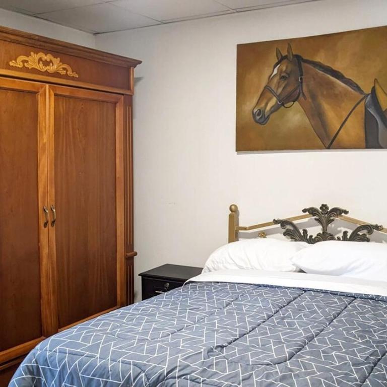 Natural Light and Total Comfort - Two-Bedroom Apartment - 4