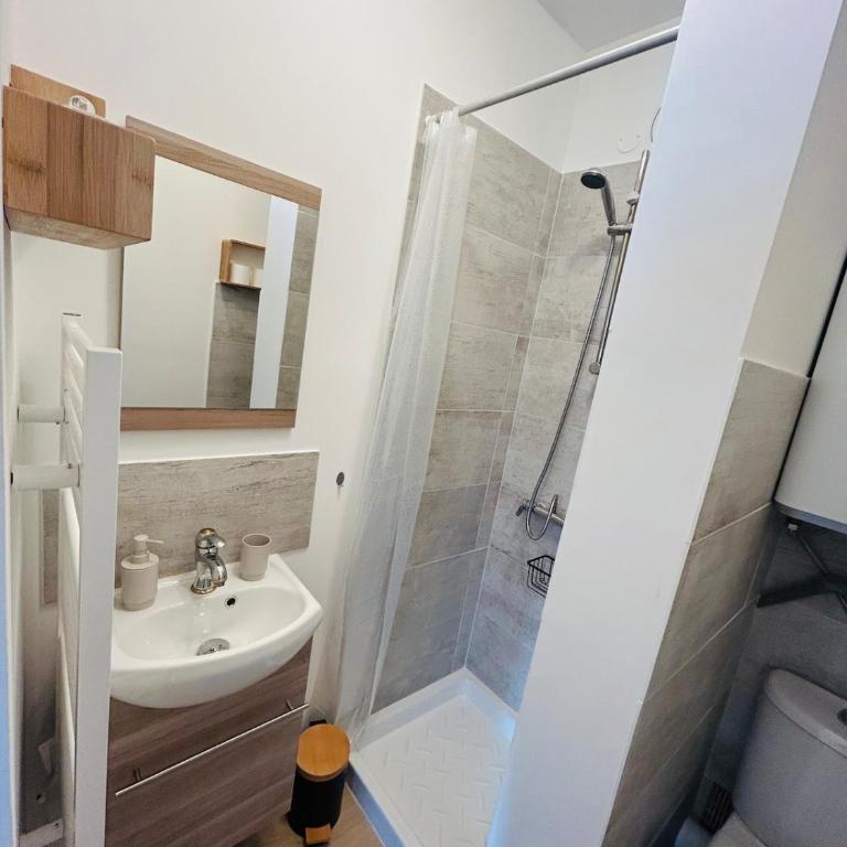 Appartement charmant proche Gare - Monolocale - 6