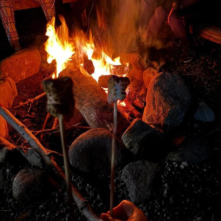 The Frailejon Mountain - Twin Room - 12