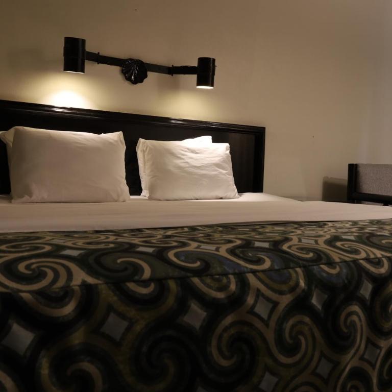 Aristos Puebla - Habitación Individual - 2