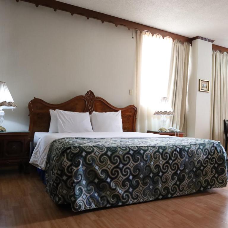 Aristos Puebla - Suite Junior Deluxe - 1