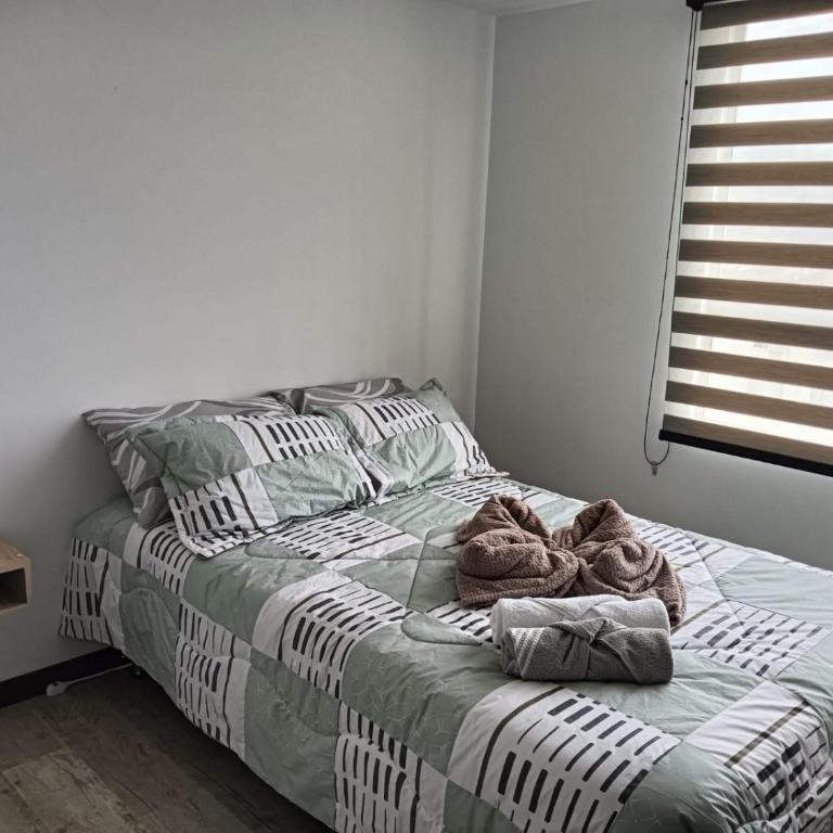 Apartamento Pasto 3 habitaciones - Apartamento - 14