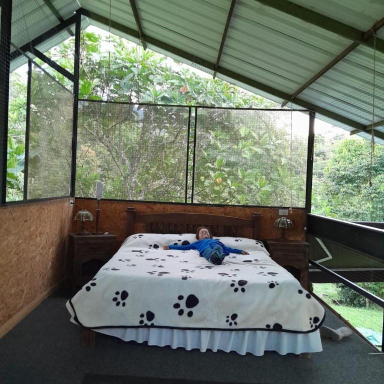 Glasshouse with river - Tent - 6