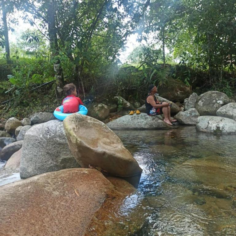 Cabin with River - Apartamento de 1 dormitorio - 7