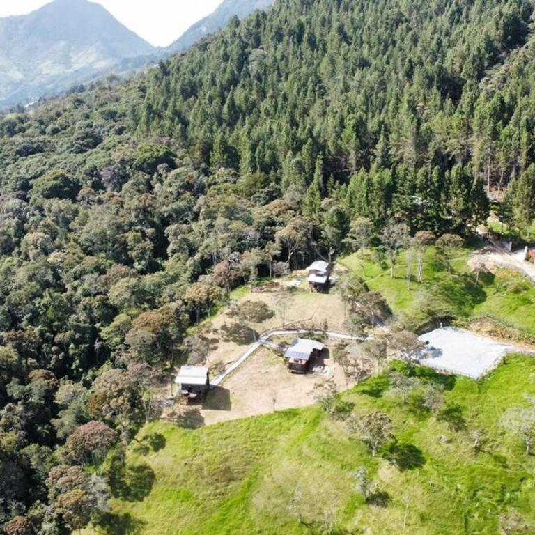 Peregrino Glamping 2 - One-Bedroom Apartment - 4